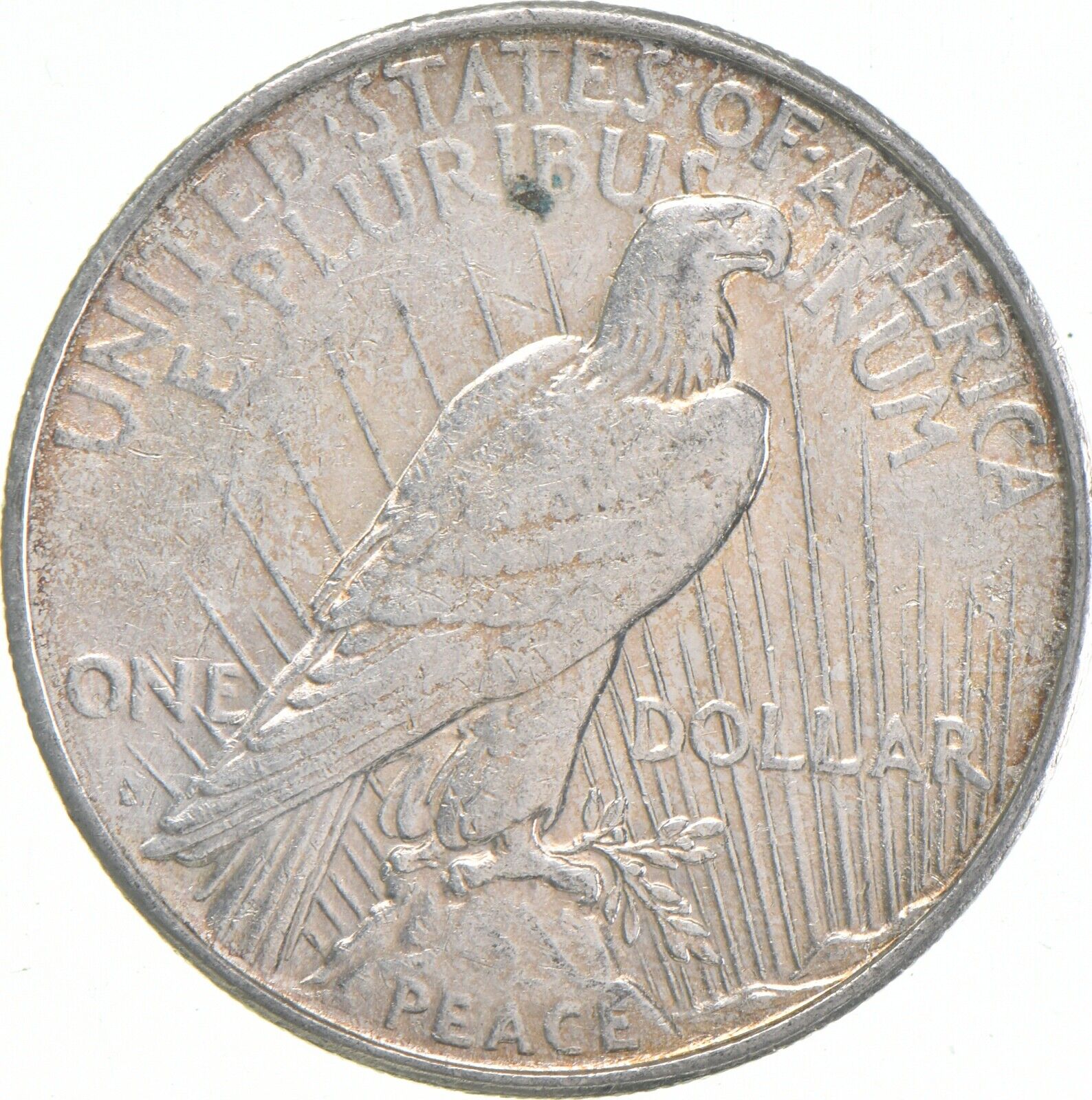 1922-Peace-Silver-Dollar-Reverse-Design - FindBullionPrices.com