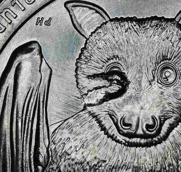 2020 American Samoa "Blind Bat" Error Quarter