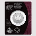 Compare 2024 Treasured Maple Leaf 1 oz Silver Coin with Privy Mark prices