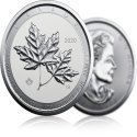 Compare Twin Maple Leaf 2 oz Silver Coin prices