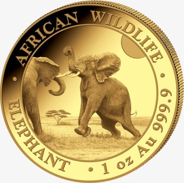 Compare 2024 Somalia Elephant 1 oz Gold Coin prices