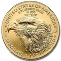 Compare 2026 1 oz American Gold Eagle prices