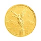 2024 Mexican 1/10 oz Libertad Gold Coin