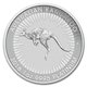Platinum Kangaroo Perth Mint - Random Year