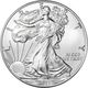 American Silver Eagle (Cull, Damaged, Circulated, Cleaned)