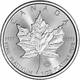 1 oz Platinum Maple Leaf - Random Year