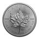 2019 Canadian Silver Maple Leaf Coin