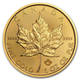 2019 1 oz Canadian Gold Maple Leaf Coin