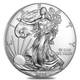 2020 American Silver Eagle 1 oz Coins