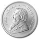 2020 Krugerrand 1 oz Silver Coin