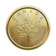 1/10 oz Gold Maple Leaf Coin - Random Year