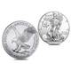 2022 American Silver Eagle 1 oz Coin