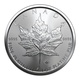 2022 Canadian Maple Leaf 1 oz Platinum Coin