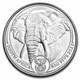 2023 1 oz Platinum South African Big Five Elephant Coin