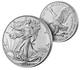 2023-W Burnished American 1 oz Silver Eagle Coin