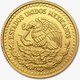 2023 Mexican Libertad 1/10 oz Gold Coin
