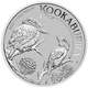 2023 Kookaburra 1/10 oz Platinum Coin