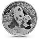 2024 China Panda 30 g Silver Coin