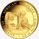 2024 1/2 oz Somalia Elephant Gold Coin