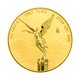 2024 Mexican 1/2 oz Libertad Gold Coin