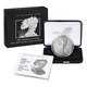 2024-W 1 oz American Silver Eagle Burnished Coin