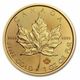 1 Oz Gold Maple Leaf - Scruffy Random Year